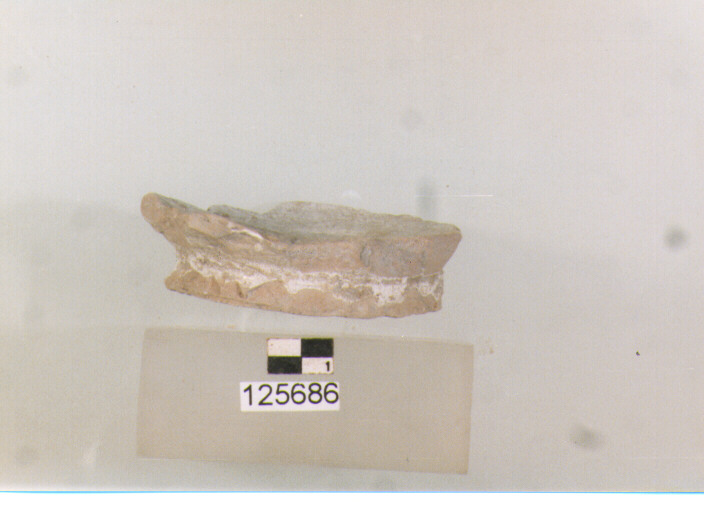 fondo (sec. VIII-XIV d.C)