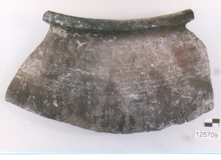 olla/ forma parzialmente ricostruibile (secc. VI/ XIV d.C)