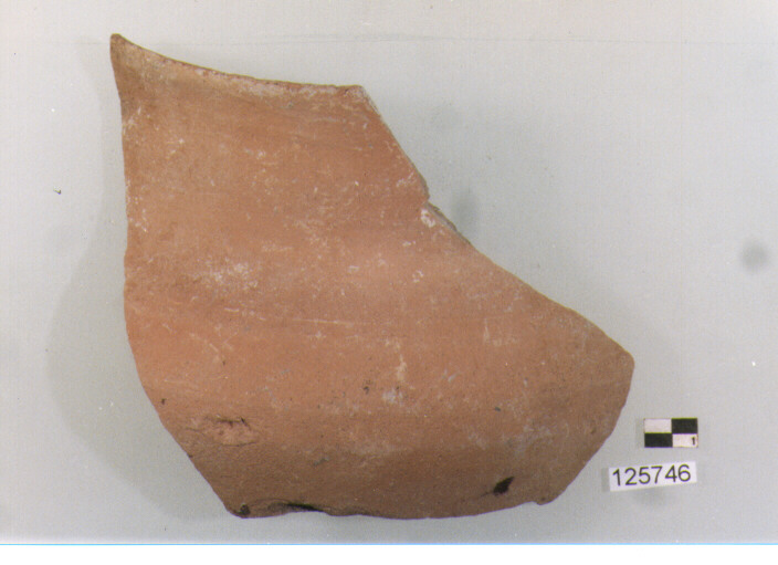 olla (secc. VI/ XIV d.C)