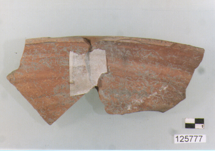 coperchio (secc. VI/ XIV d.C)