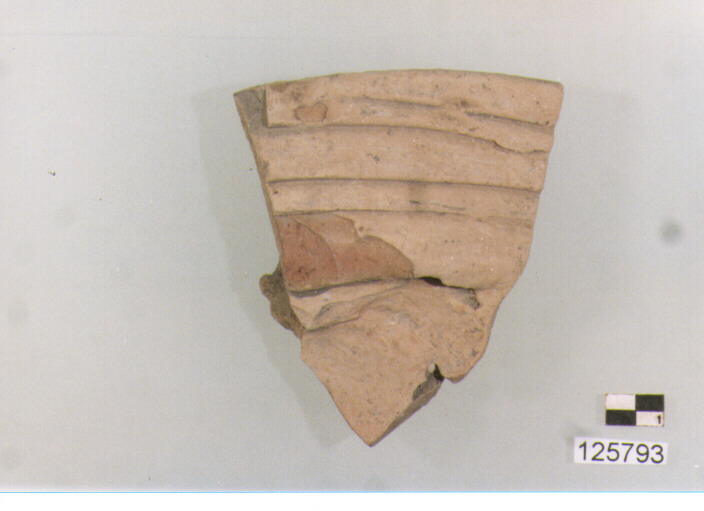 anfora/ orlo (secc. VI/ XIV d.C)