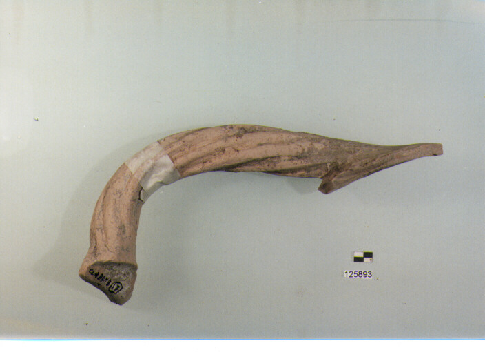 ansa a tortiglione (secc. VI/ XIV d.C)