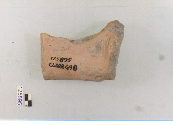 ansa (secc. VI/ XIV d.C)