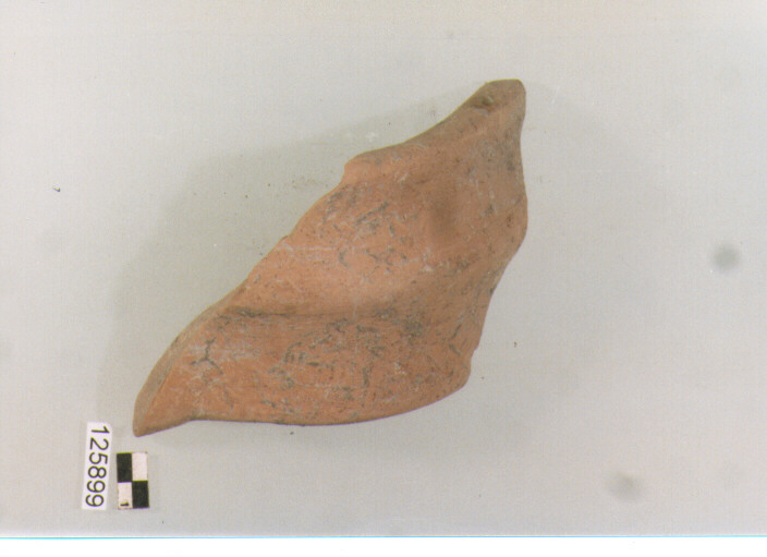 ansa a nastro (secc. VI/ XIV d.C)