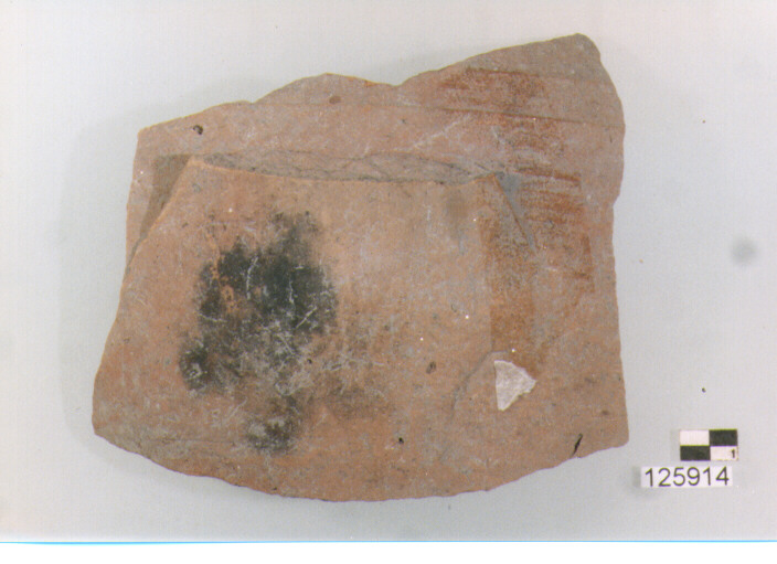 olla/ parete (secc. VI/ XIV d.C)