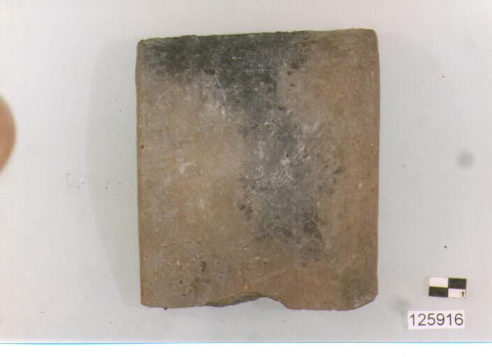 ansa a nastro (secc. VI/ XIV d.C)