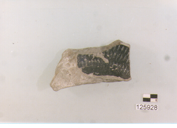 fondo (secc. VI/ XIV d.C)