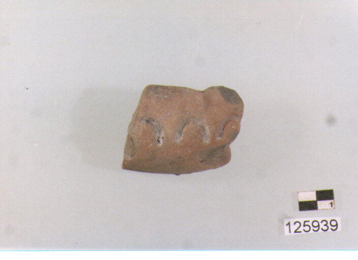 coppa/ orlo (secc. VI/ XIV d.C)