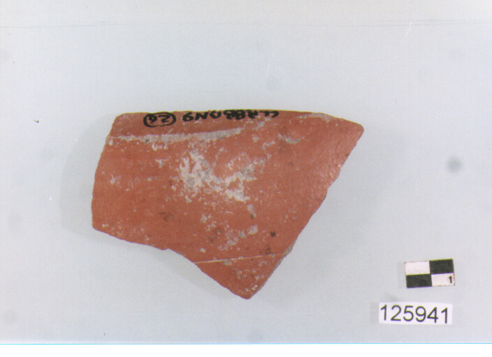 coppa/ parete (secc. I a.C./ II d.C)