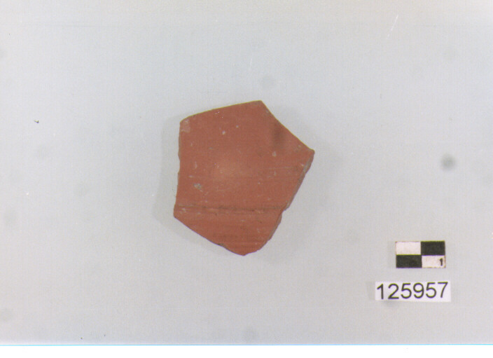 piatto/ fondo (secc. I a.C./ II d.C)