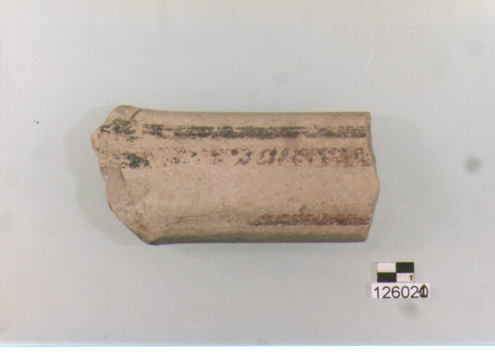 ansa a nastro (secc. VI/ X d.C)