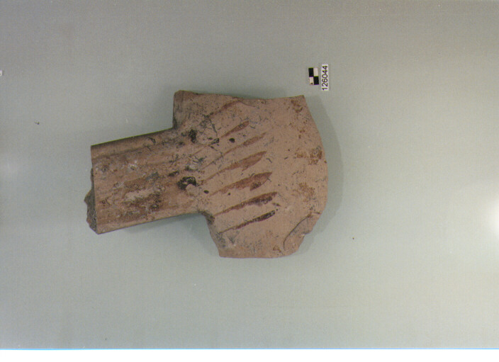 brocca/ parete (secc. VI/ X d.C)