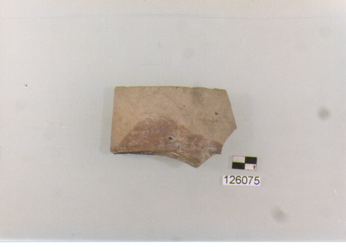 brocca/ orlo (secc. VI/ X d.C)