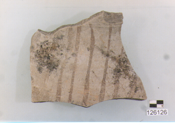 BROCCA/ FRAMMENTO (secc. VI/ X d.C)