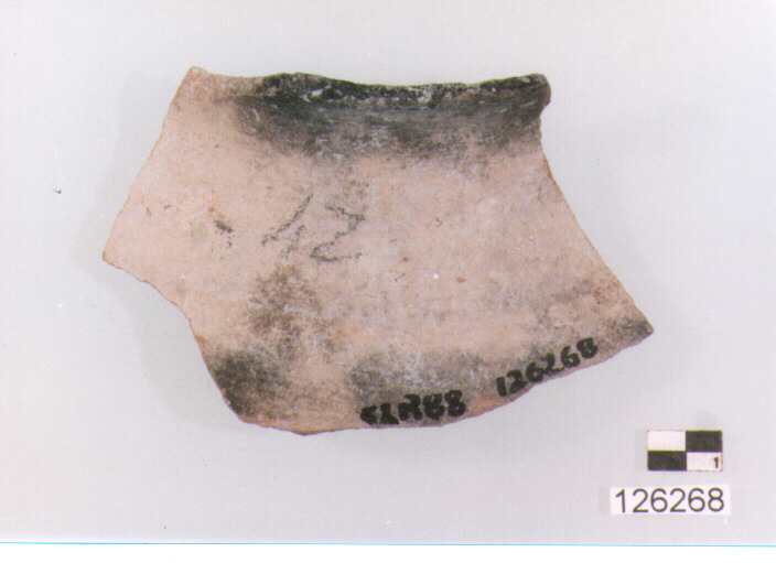 brocca/ collo (sec. VIII-XIV d.C)