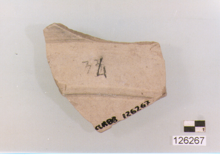 piatto/ vasca (sec. VIII-XIV d.C)