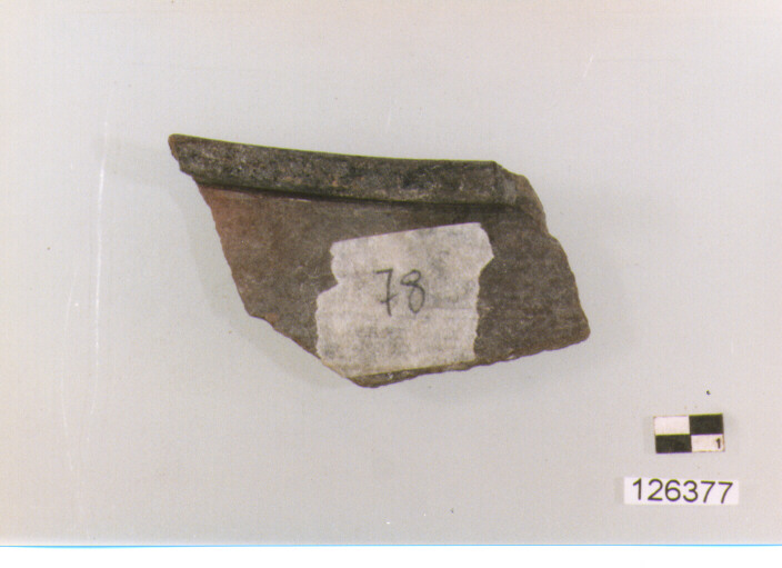 tegame/ orlo (secc. VI/ XIV d.C)