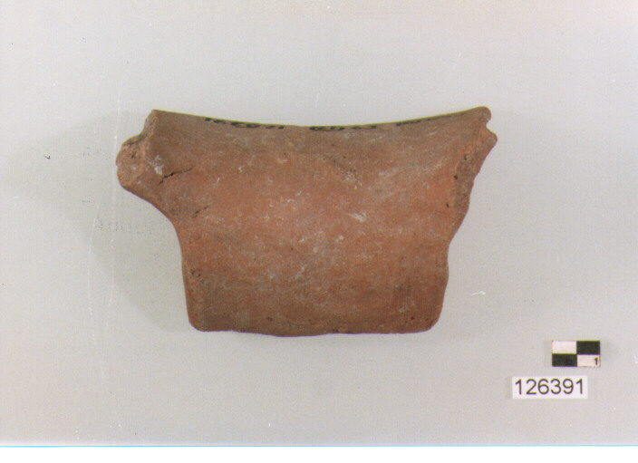 ORLO (secc. VI/ XIV d.C)