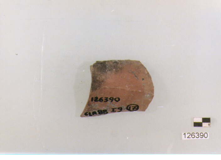 olletta/ fondo (secc. VI/ XIV d.C)