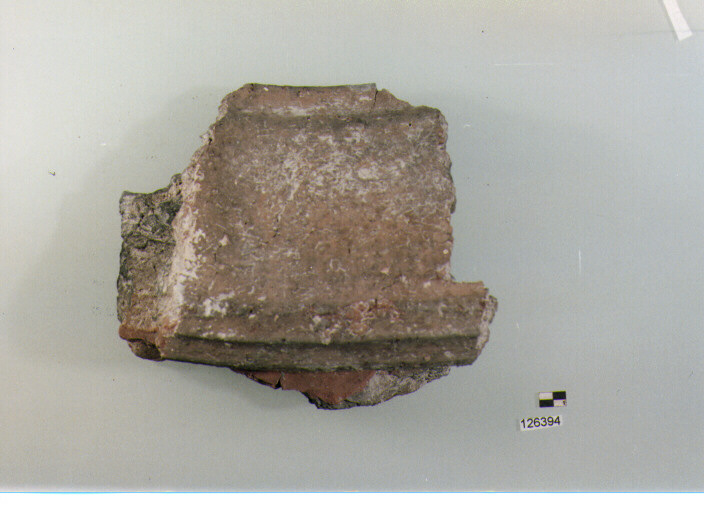 dolio/ orlo (secc. VI/ XIV d.C)