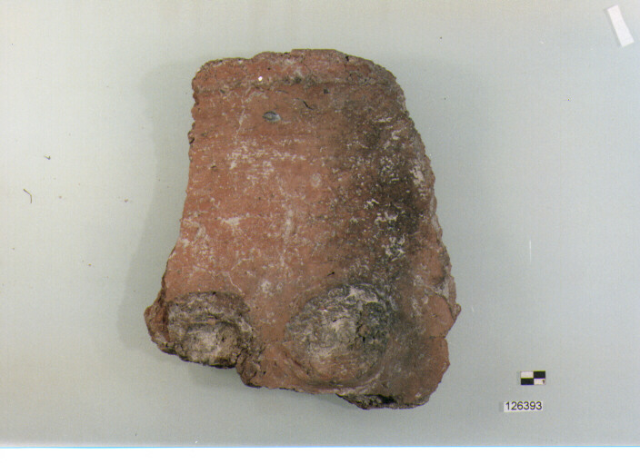 dolio/ parete (secc. VI/ XIV d.C)