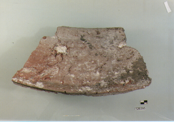 dolio/ orlo (secc. VI/ XIV d.C)