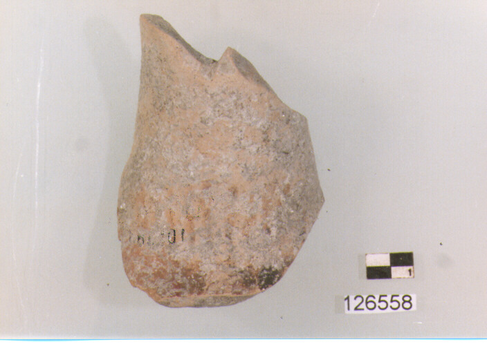 Bottiglia/ collo (secc. VI/ XIV d.C)