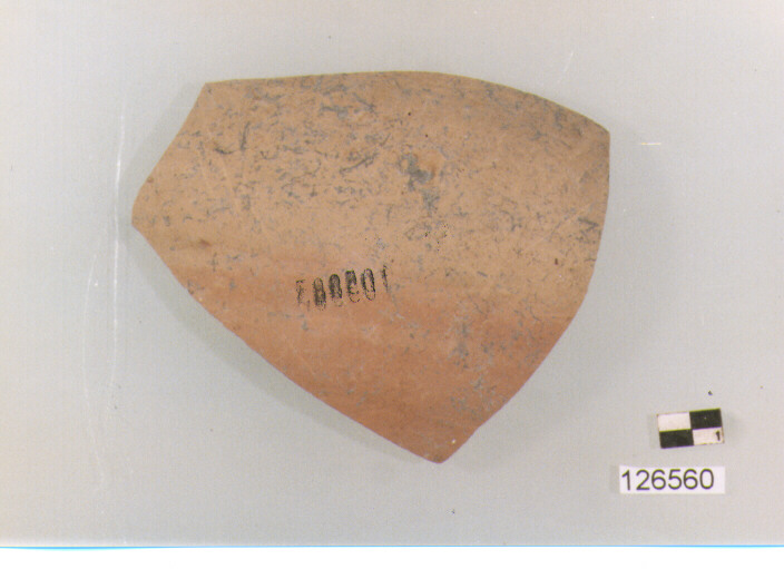 brocca/ parete (secc. VI/ XIV d.C)