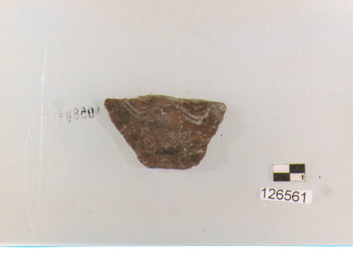 parete (secc. VI/ XIV d.C)