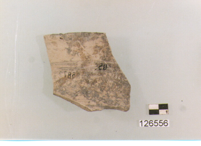 brocca/ orlo (secc. VI/ XIV d.C)