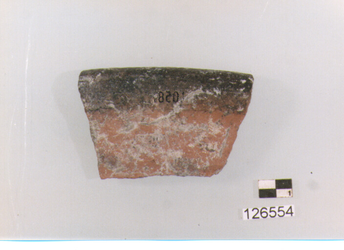 coperchio/ orlo (secc. VI/ XIV d.C)