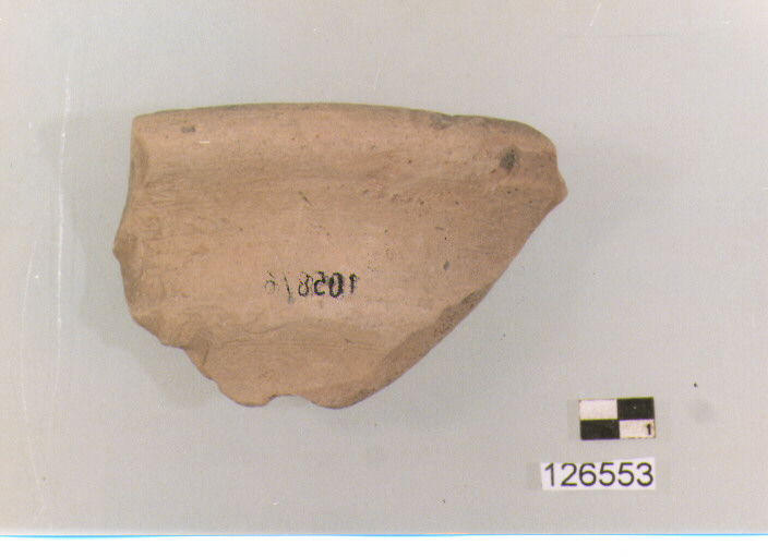 anfora/ orlo (secc. VI/ XIV d.C)