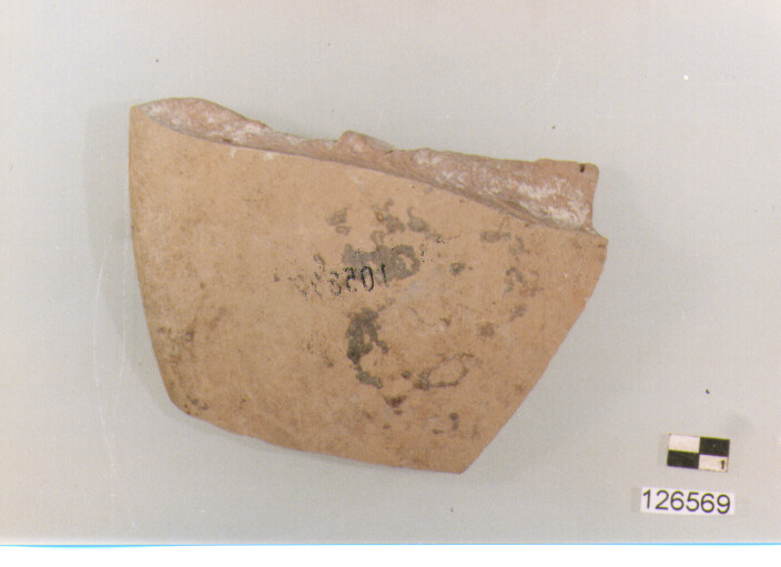 ciotola/ forma parzialmente ricostruibile (secc. VI/ XIV d.C)