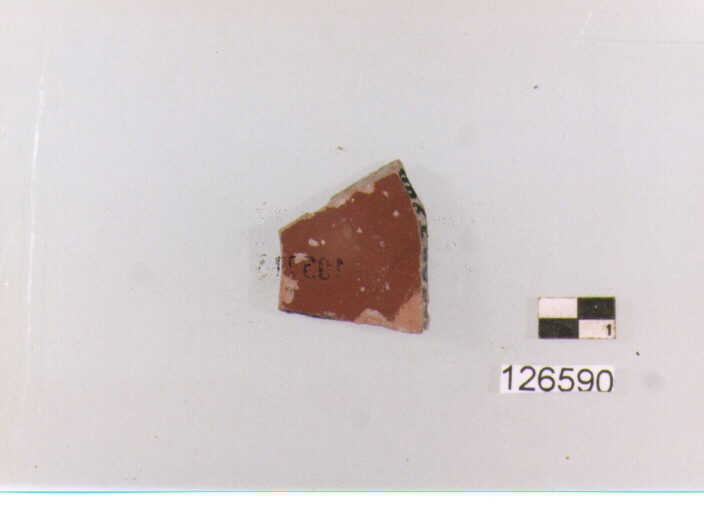 piatto/ fondo (secc. I a.C./ II d.C)