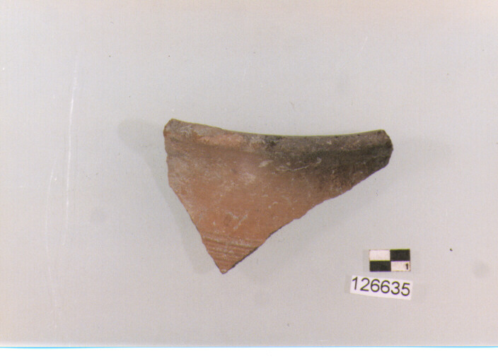 olla/ orlo (secc. VI/ XIV d.C)