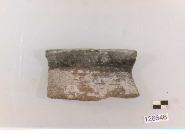 olla/ orlo (secc. VI/ XIV d.C)