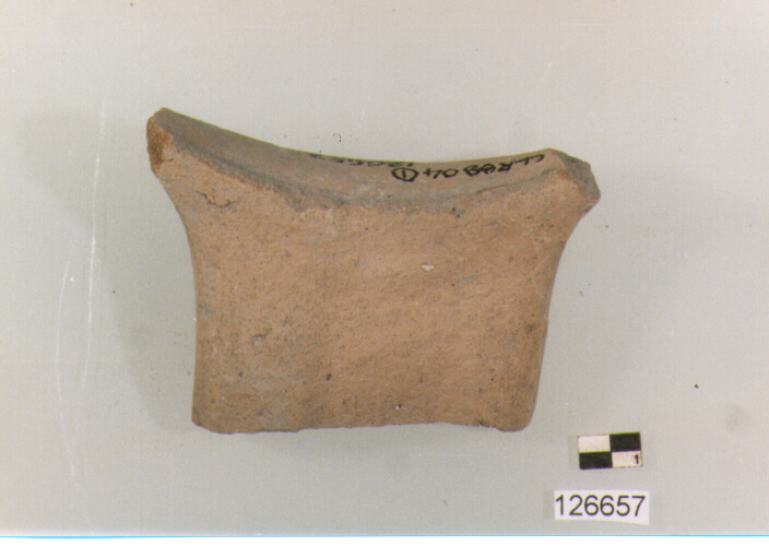 ansa a nastro (secc. VI/ XIV d.C)