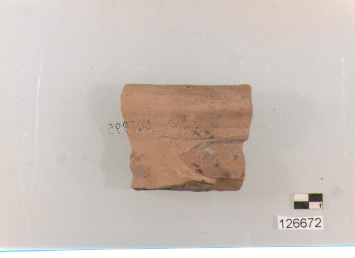 anfora/ orlo (secc. VI/ XIV d.C)