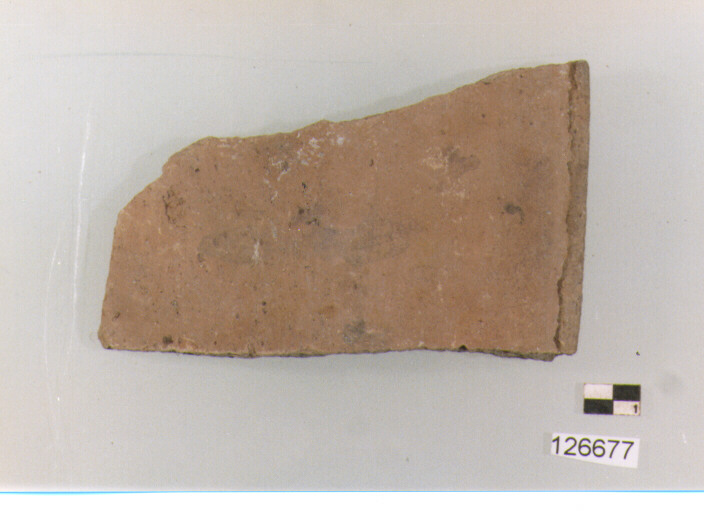 coperchio/ forma parzialmente ricostruibile (secc. VI/ XIV d.C)