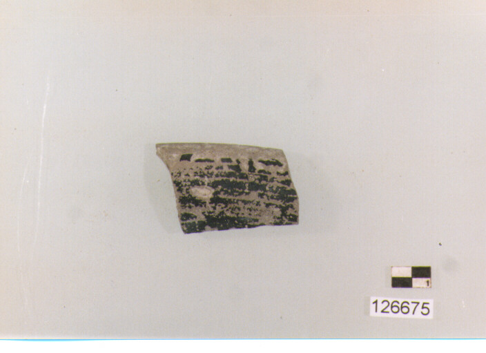 coppa/ orlo (secc. III/ I a.C)