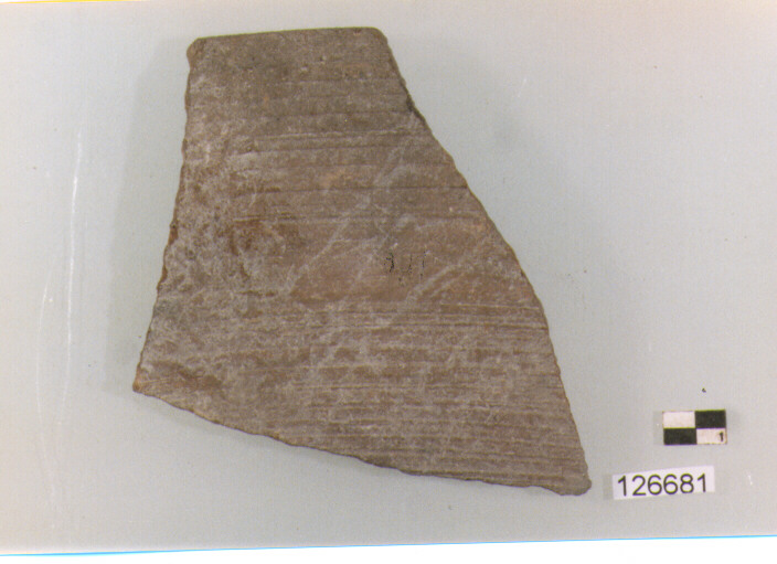 coperchio/ forma parzialmente ricostruibile (secc. VI/ XIV d.C)