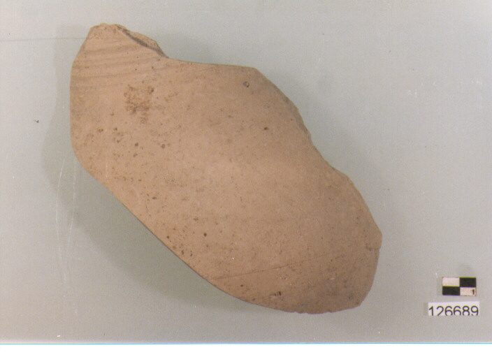 brocca/ parete (secc. VI/ XIV d.C)