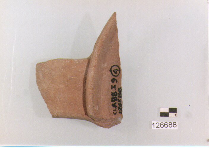 brocca/ orlo (secc. VI/ XIV d.C)