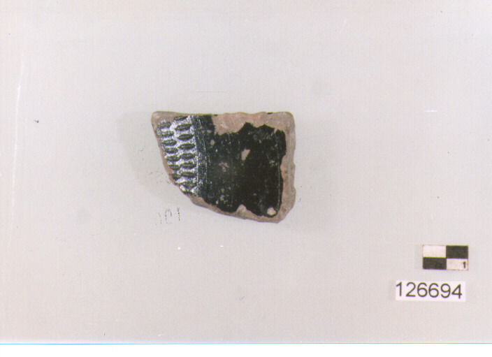 coppa/ fondo (secc. III/ I a.C)