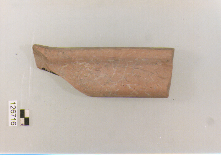 ansa (secc. VI/ XIV d.C)