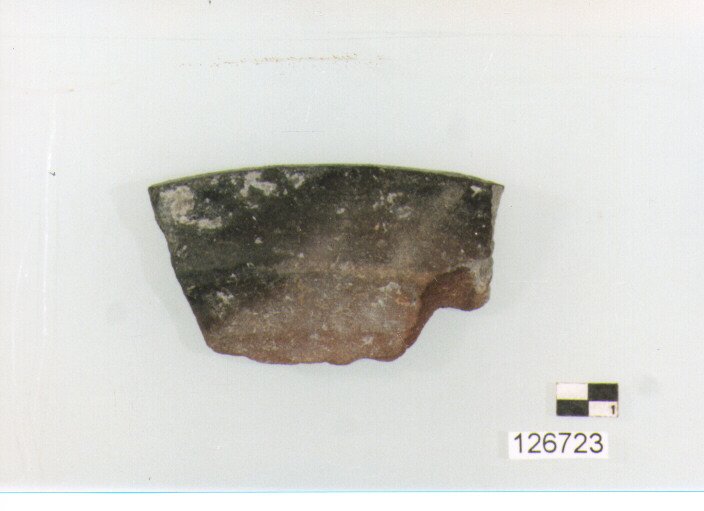 coperchio/ orlo (secc. VI/ XIV d.C)