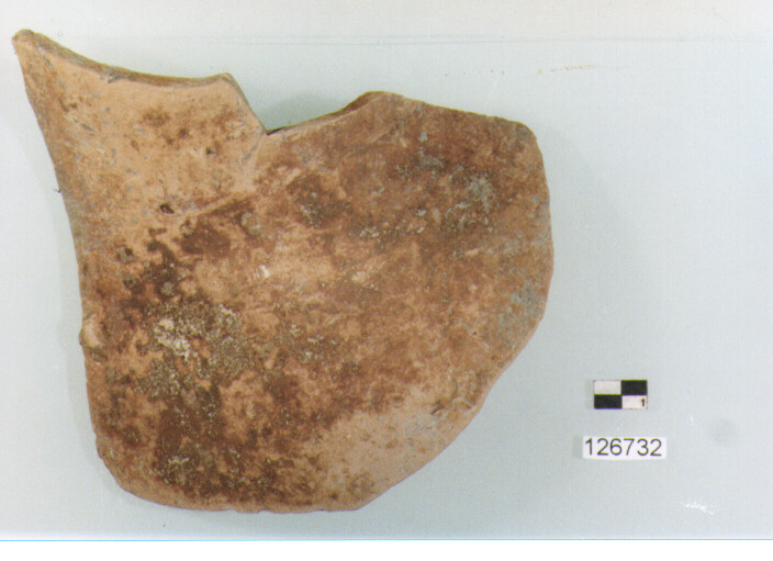 brocca/ parete (secc. VI/ XIV d.C)