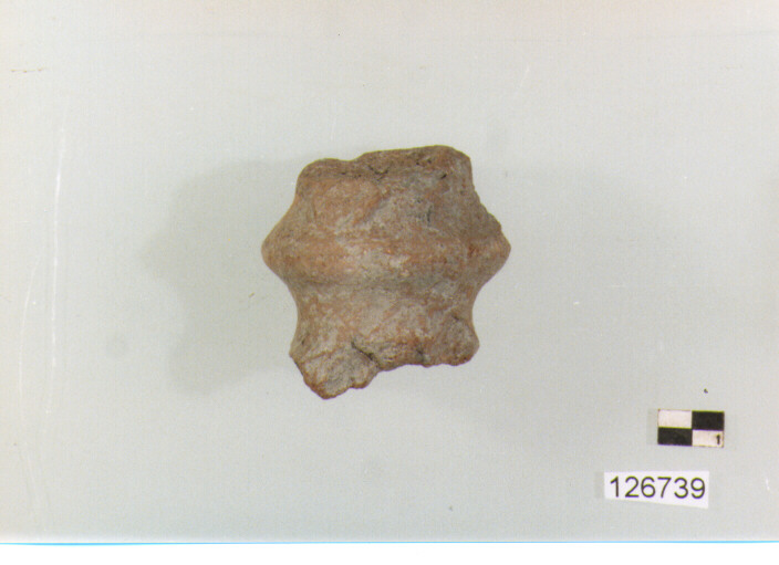 coperchio/ presa (secc. VI/ XIV d.C)