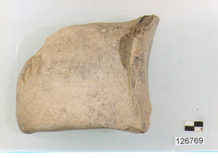 anfora/ ansa (secc. VI/ XIV d.C)