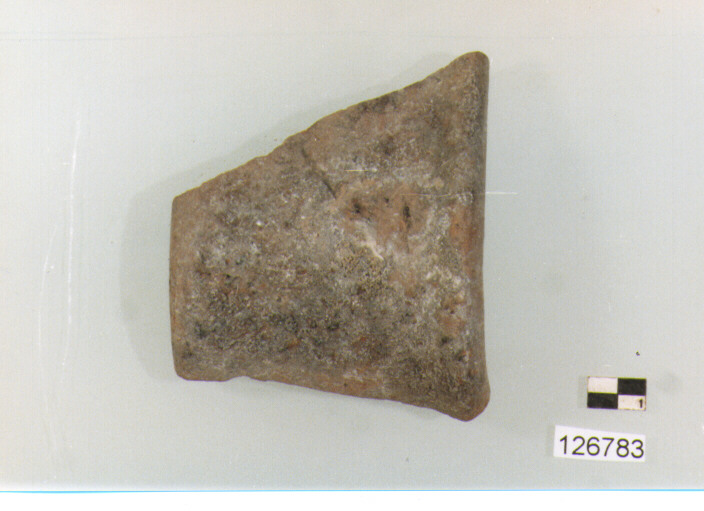 ansa a nastro (secc. VI/ XIV d.C)